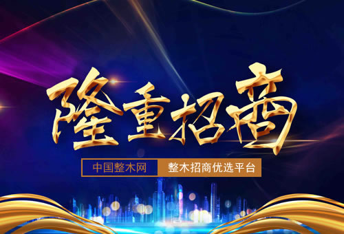 加盟三彪名派智能锁